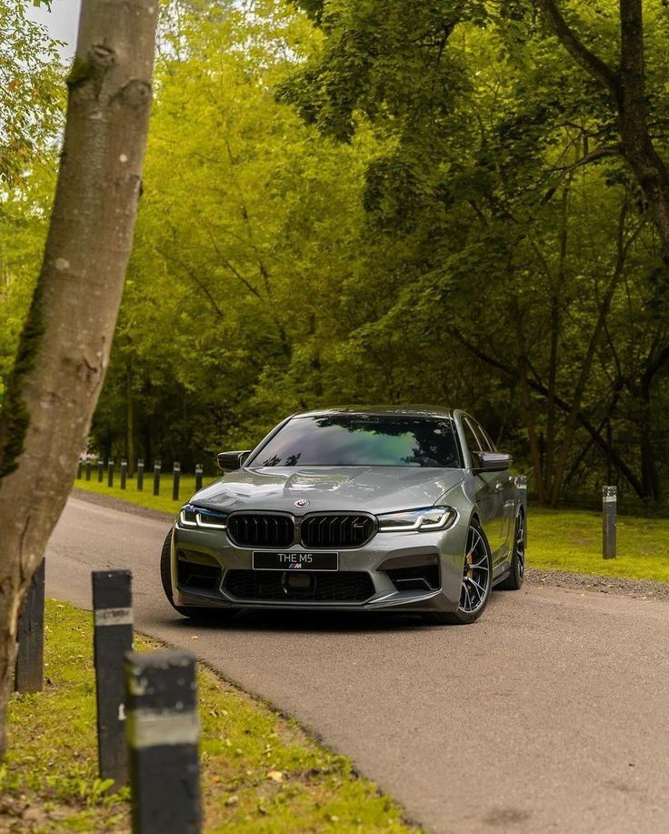 BMW 5 Series & M5